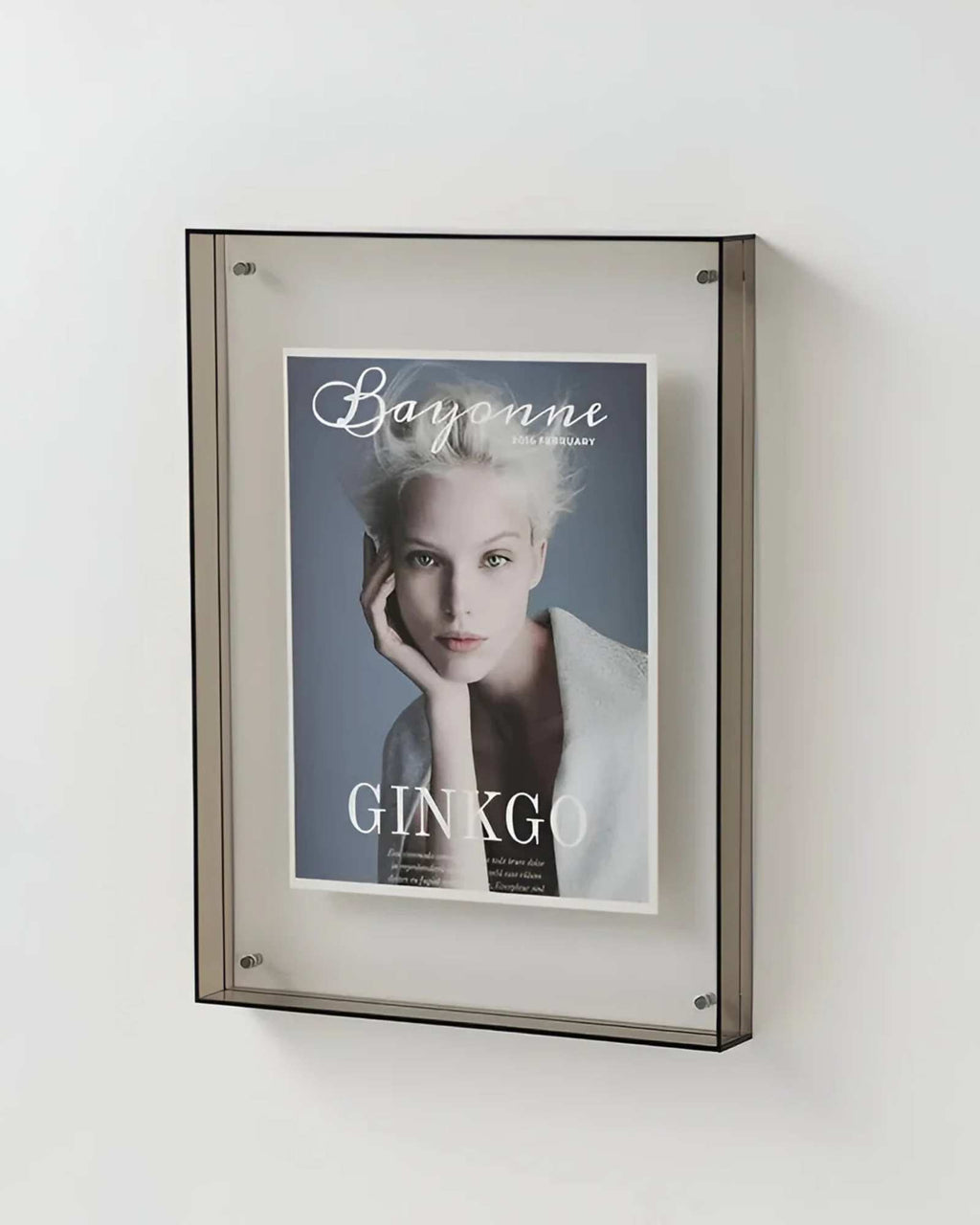 LumiFugl – Gennemsigtig Fotoramme med Moderne Minimalistisk Design